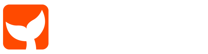 铵琛迂网络